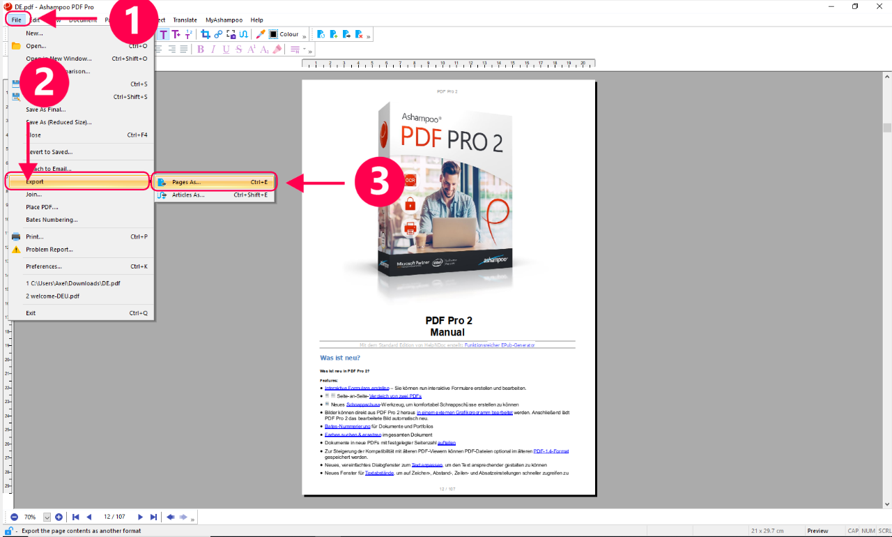Pdf Pro 2 How Can I Convert Pdfs Into Word Documents Ashampoo